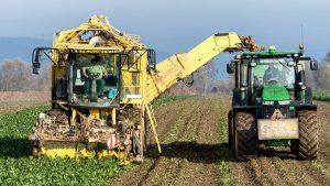 Refinancing Farm Assets A Strategic Move for UK Farmers